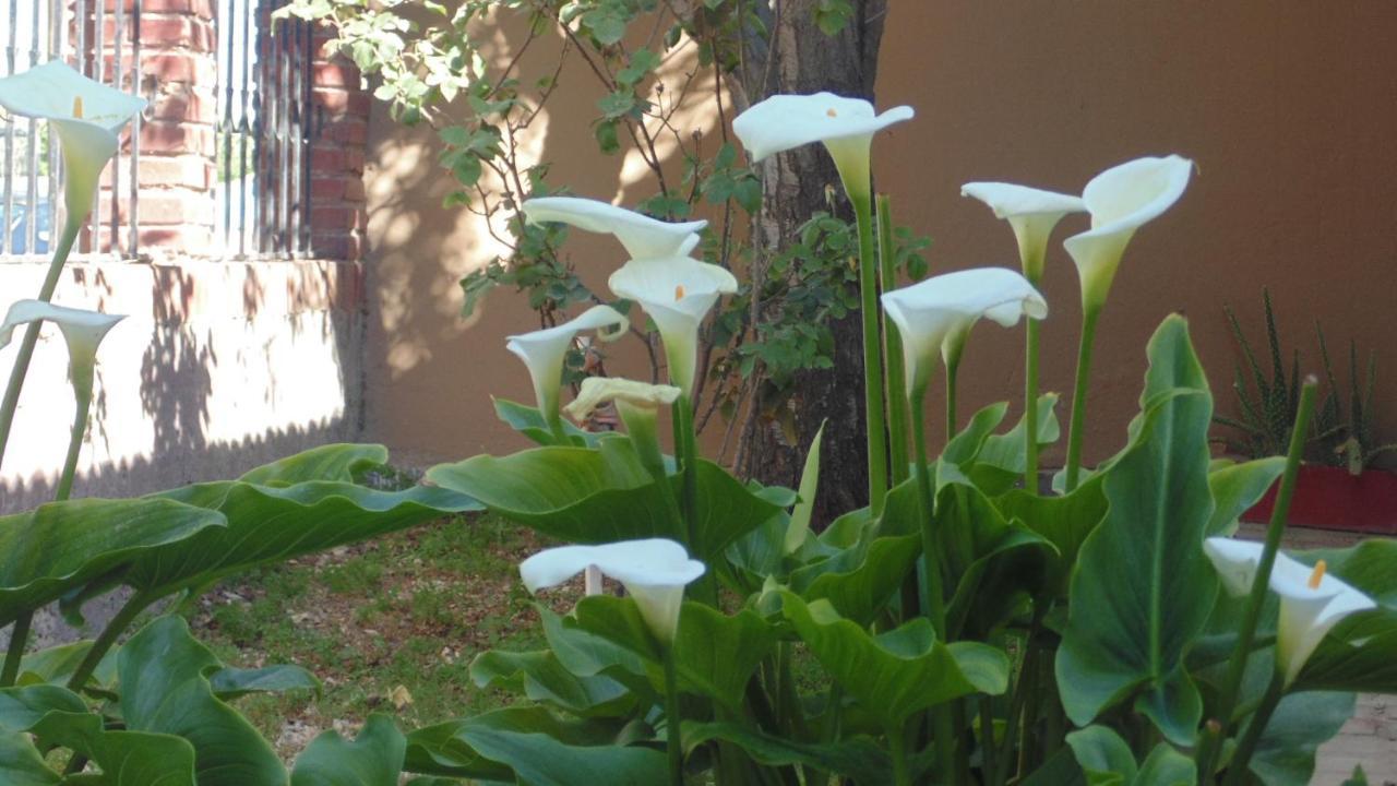 Casa Las Calas プエルト・マドリン エクステリア 写真